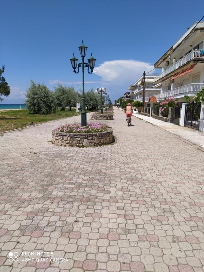 Hause Zorbas Aparthotel Paralia Dionysiou Esterno foto