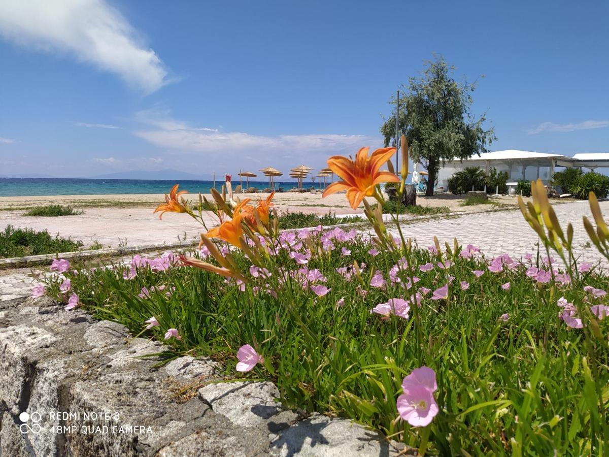 Hause Zorbas Aparthotel Paralia Dionysiou Esterno foto