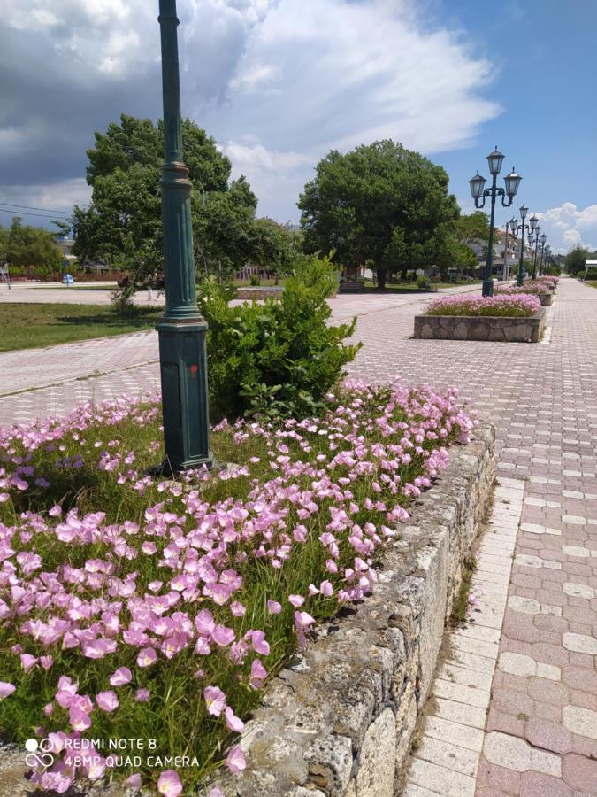 Hause Zorbas Aparthotel Paralia Dionysiou Esterno foto